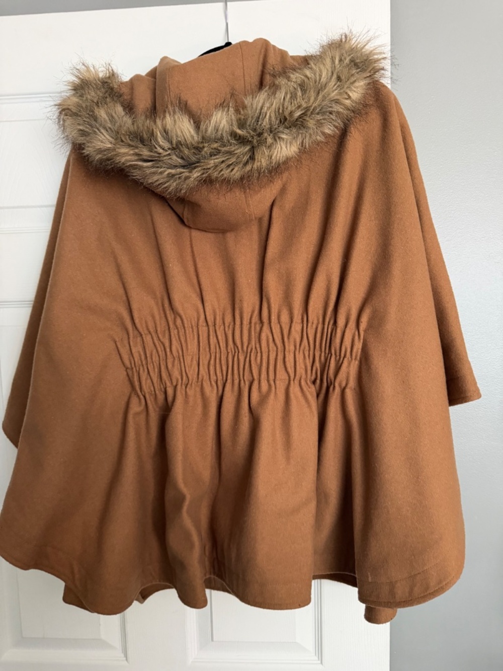 Pancho - Picture 2 of 5